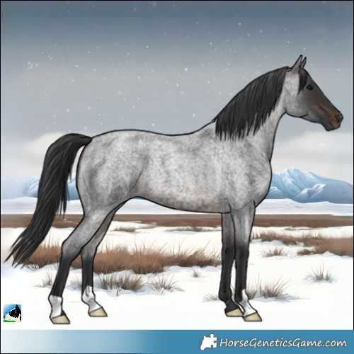 Horse Color:Brown Roan 