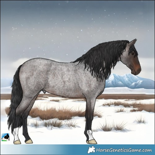 Horse Color:Brown Roan Rabicano 