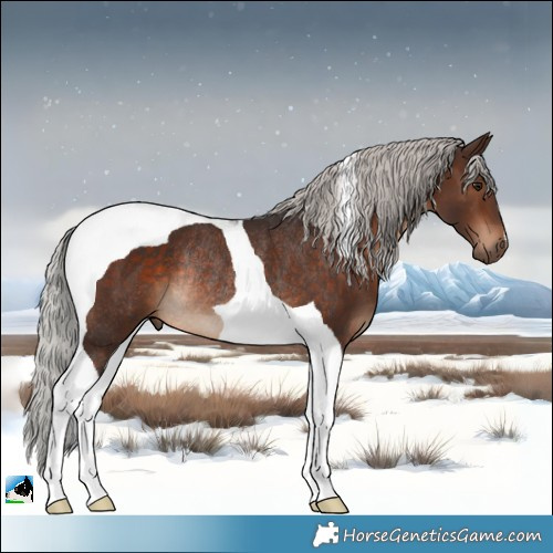 Horse Color:Silver Brown Tobiano Rabicano 