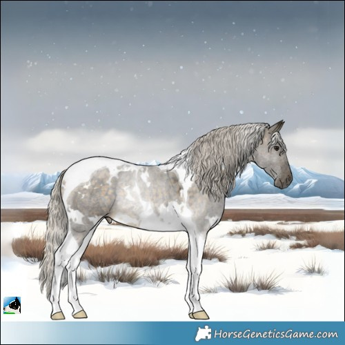 Horse Color:White Spotted Silver Buckskin Tobiano Rabicano 