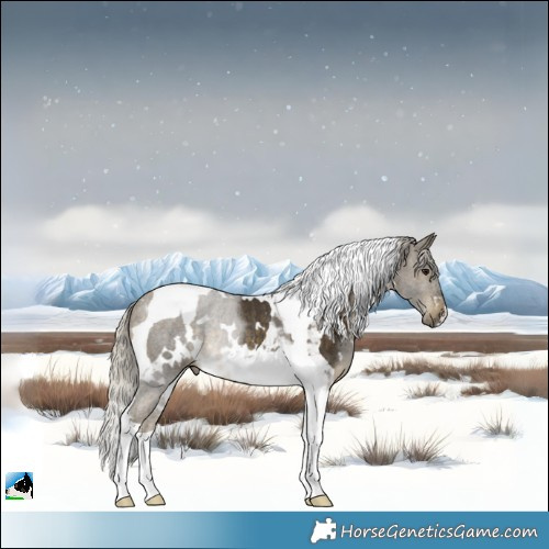 Horse Color:White Spotted Silver Buckskin Tobiano Rabicano 