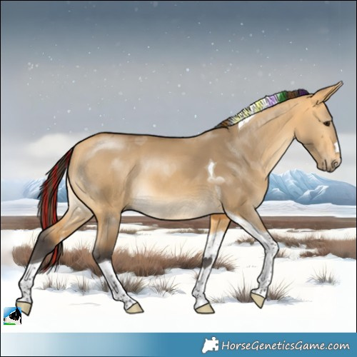 Horse Color:Painted Buckskin Dun Tobiano Rabicano 