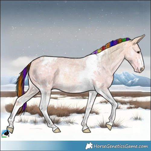 Horse Color:Painted Buckskin Ice Dun Tobiano Rabicano 