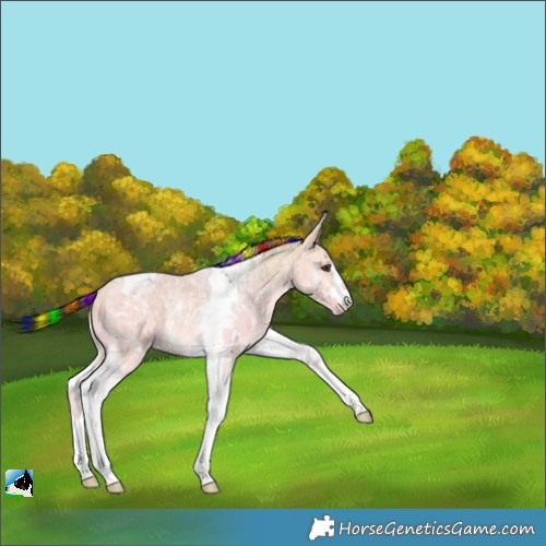 Horse Color:Painted Buckskin Ice Dun Tobiano Rabicano 