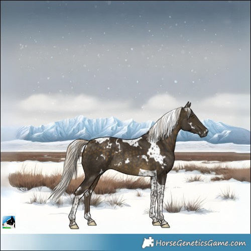 Horse Color:White Spotted Silver Buckskin Tobiano Rabicano 