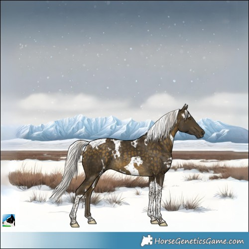Horse Color:White Spotted Silver Buckskin Tobiano Rabicano 