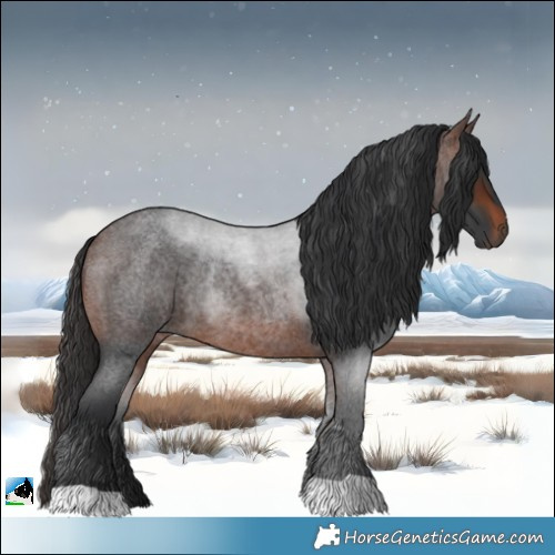Horse Color:Brown Roan Rabicano 