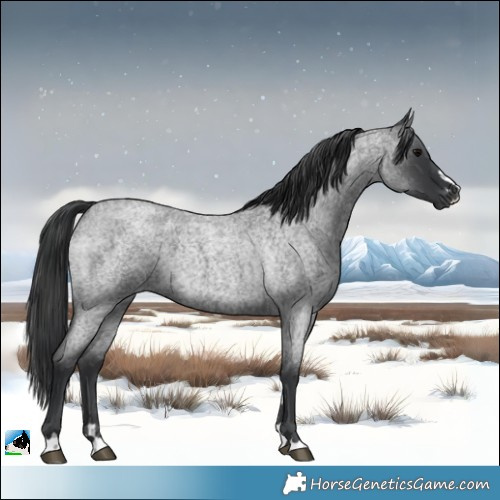 Horse Color:Blue Roan 