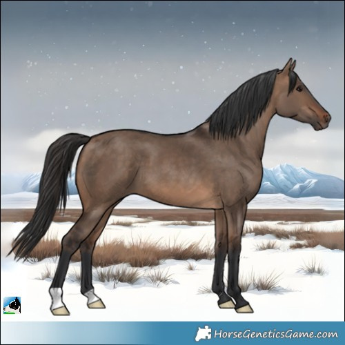 Horse Color:Brown Dun 