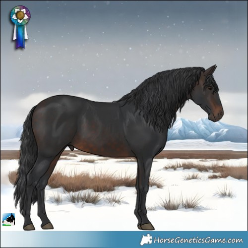 Horse Color:Brown 