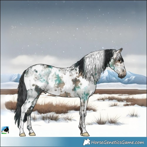 Horse Color:Plaid  White Spotted Brown Ice Dun Rabicano 