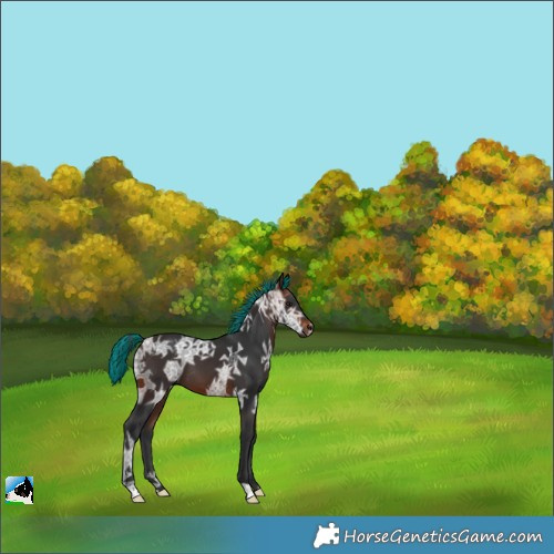 Horse Color:Painted Brown Ice 