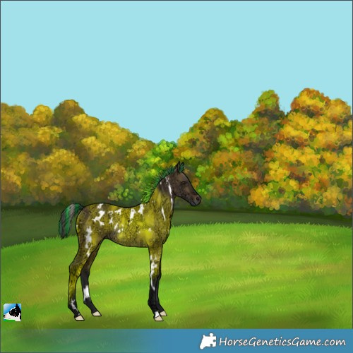 Horse Color:Painted White Spotted Bay Ice Dun Rabicano 