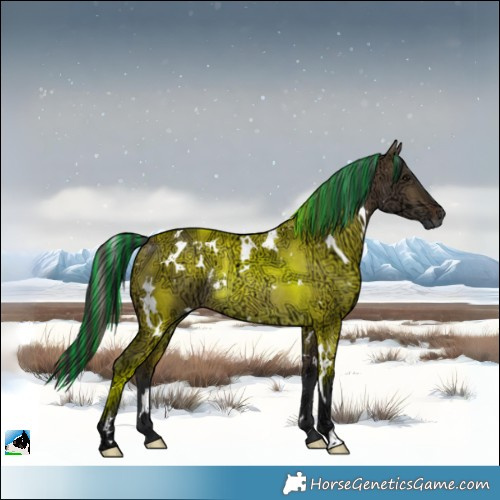 Horse Color:Painted White Spotted Bay Ice Dun Rabicano 