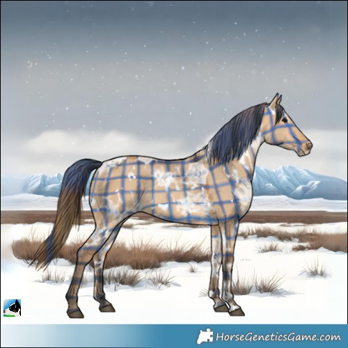 Horse Color:Plaid White Spotted Bay Ice Dun Rabicano