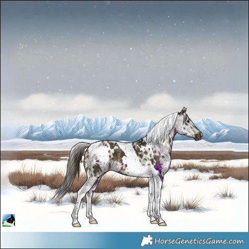 Horse Color:Plaid  White Spotted Buckskin Ice Tobiano 