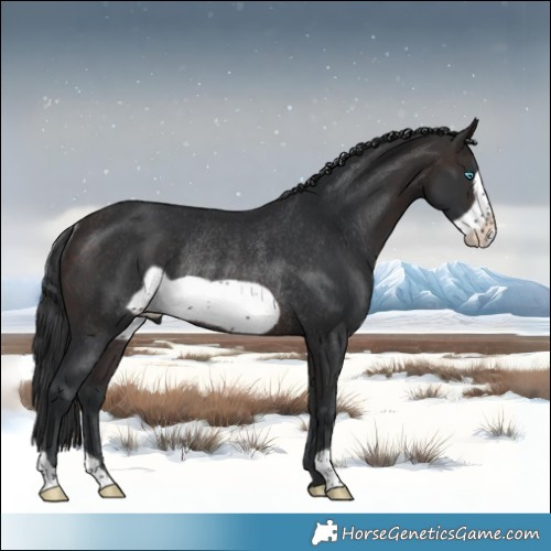 Horse Color:Brown Frame Rabicano 
