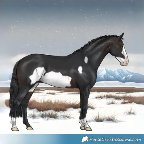Horse Color:Brown Frame 