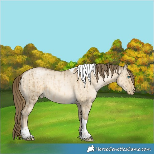 Horse Color:Buckskin Pearl Dun Tobiano Rabicano Brindle