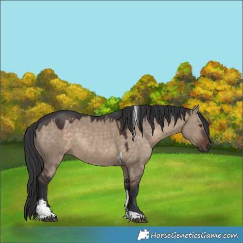 Horse Color:Brown Dun Tobiano Rabicano