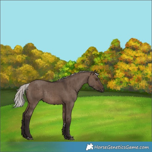 Horse Color:Silver Brown Dun Rabicano Brindle 
