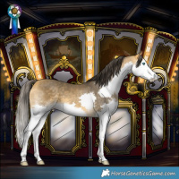 Horse Color:Buckskin Splash 