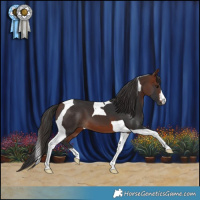 Horse Color:Bay Tobiano