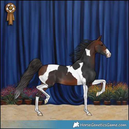 Horse Color:Bay Tobiano