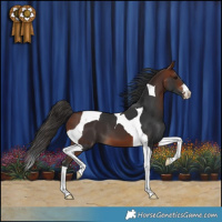 Horse Color:Bay Tobiano