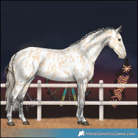 Horse Color:Buckskin Near Leopard 
