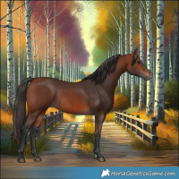 Horse Color:Bay Rabicano and Bay Rabicano