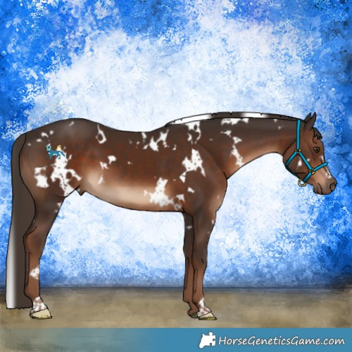 Horse Color:White Spotted Liver Chestnut 