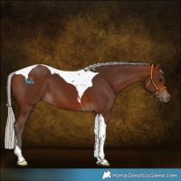 Horse Color:Silver Brown Tobiano
