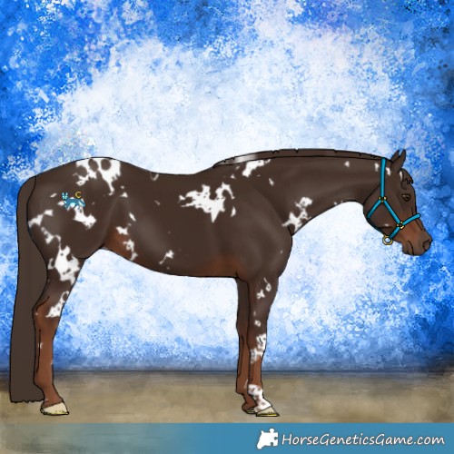 Horse Color:White Spotted Liver Chestnut 