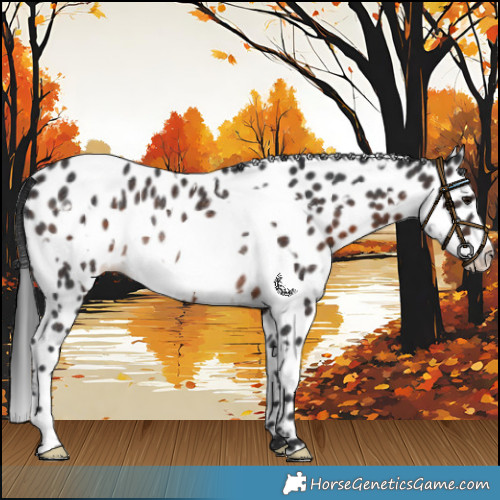 Horse Color:White Spotted Brown Frame Leopard Rabicano 