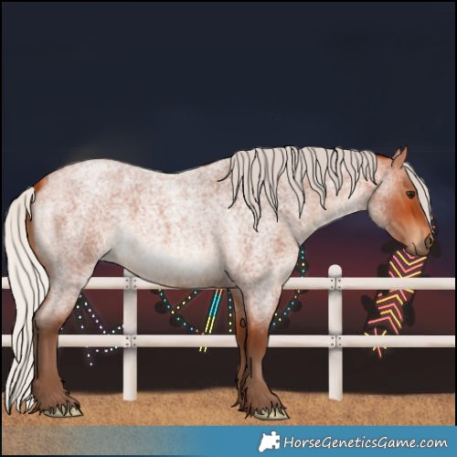 Horse Color:Silver Bay Roan 