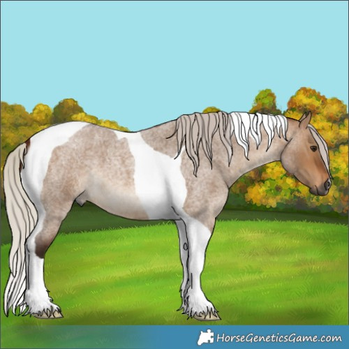 Horse Color:Gray Silver Bay Roan Dun Tobiano 