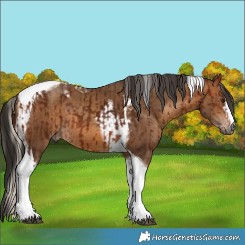 Horse Color:Gray Silver Bay Tobiano  and Gray Amber Champagne Tobiano 