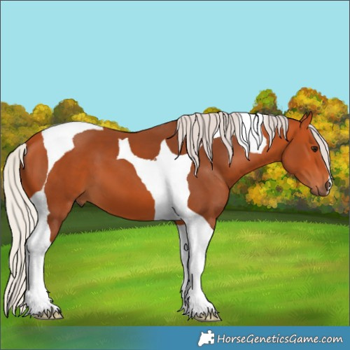Horse Color:Silver Bay Tobiano 