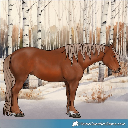 Horse Color:Chestnut 