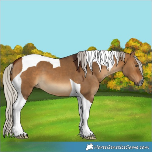 Horse Color:Gray Silver Bay Dun Tobiano 