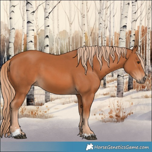 Horse Color:Chestnut 