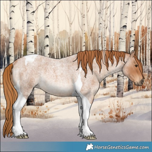 Horse Color:Red Roan Tobiano Rabicano 
