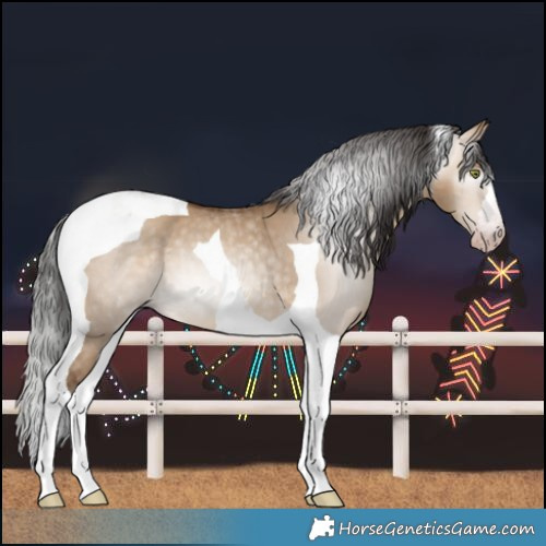 Horse Color:Gray Amber Champagne Dun Tobiano 
