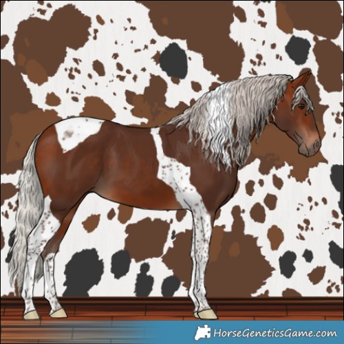 Horse Color:Silver Bay Tobiano 