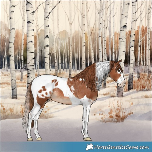 Horse Color:Chestnut Splash Tobiano Blanket Rabicano 