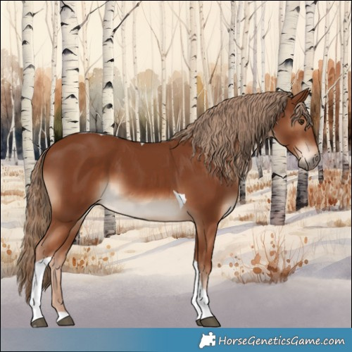 Horse Color:Chestnut Tobiano 