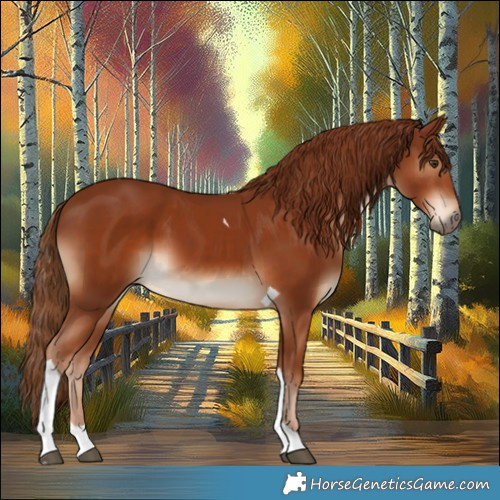 Horse Color:Chestnut Tobiano 