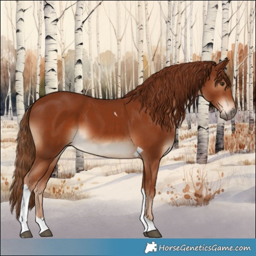Horse Color:Chestnut Tobiano