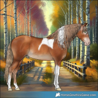 Horse Color:Gray Gold Champagne Tobiano 